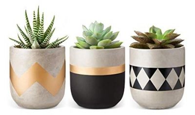 The Best Flower Pots for Root Growth