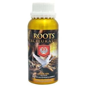 Roots Excelurator 500ml