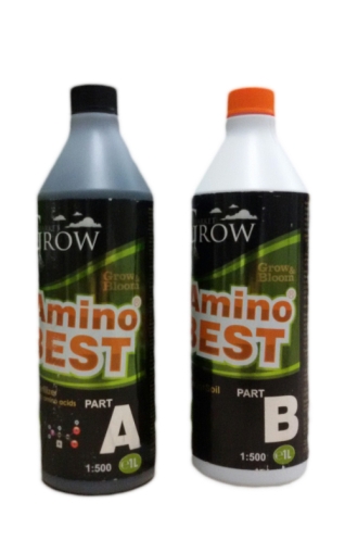 AMINO BEST A+B