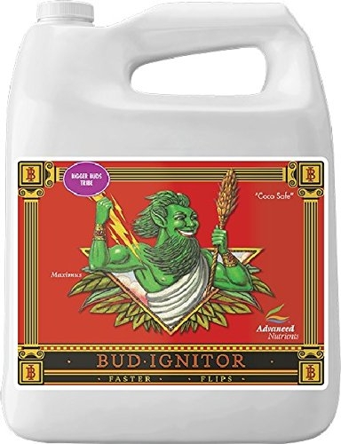 Bud Ignitor 4L