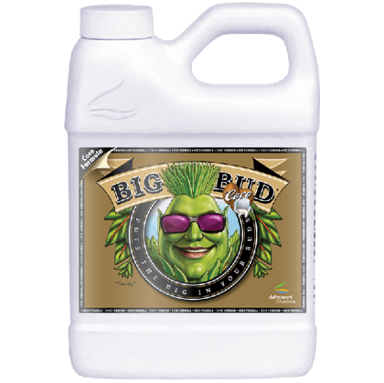 Big Bud Coco 500ml - стимулатор на тегло и обем на цвета в кокос