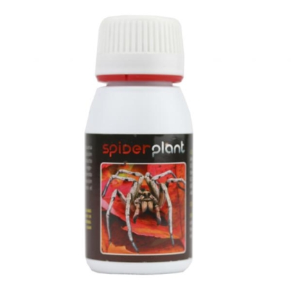 Spider plant 60ml - био инсектицид срещу акари