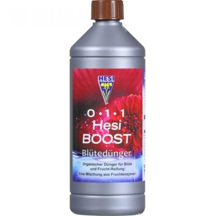 Boost 1L