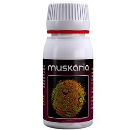 Muskaria 60ml - fungicid natyral kundër sëmundjeve mykotike