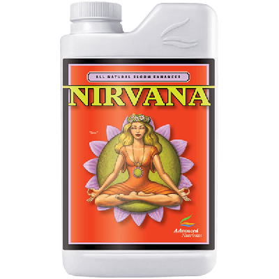 Nirvana 1L