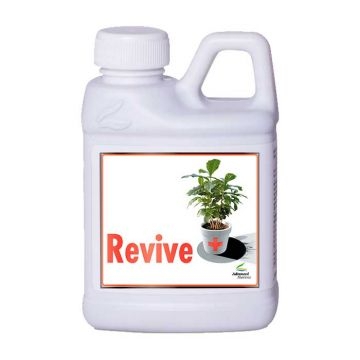 Revive 250ml - suplement mineral kundër faktorëve të stresit