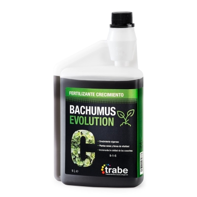 Bachumus evolution crecimiento 1L