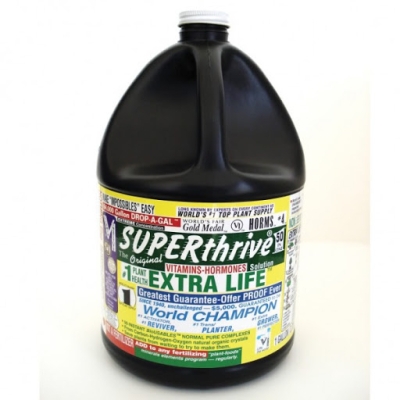 Superthrive 3.8L