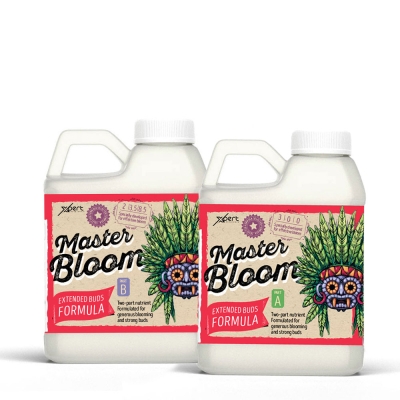 Master Bloom A + B 250ml - pleh mineral për lulëzimin