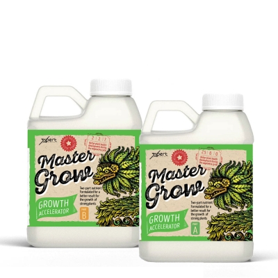 Master Grow A + B 250ml - pleh mineral për rritje