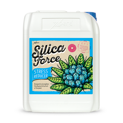 Silica Force 10L - Silicon Supplement