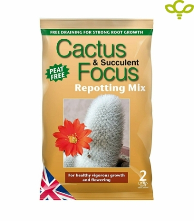 Cactus & Succulent Focus 2L - Substrat për Kaktus dhe Succulent