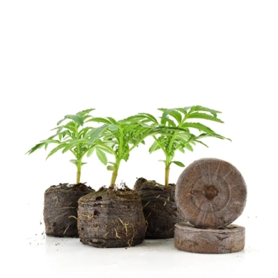 Jiffy 39mm - Pelete 1 copë - kokrriza mbirëse