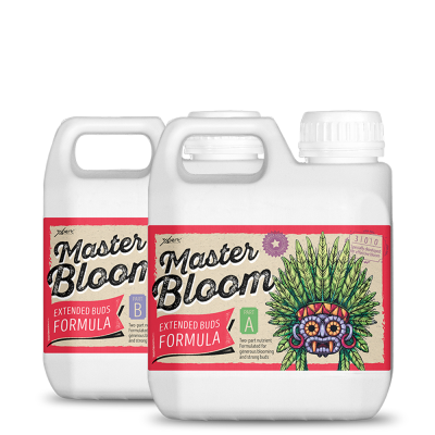 Master Bloom A + B 250ml