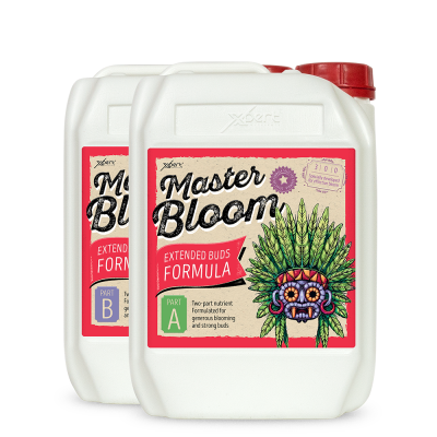 Master Bloom A + B 250ml