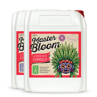 Master Bloom A + B 250ml