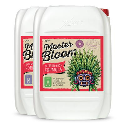 Master Bloom A + B 250ml