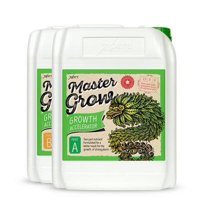 Master Grow A + B 250ml