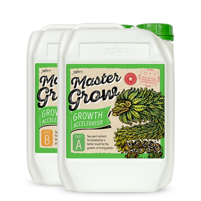 Master Grow A + B 250ml