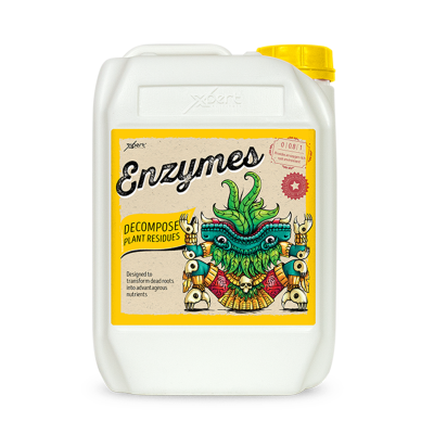 Enzyme 250ml