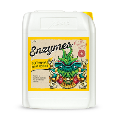 Enzyme 250ml