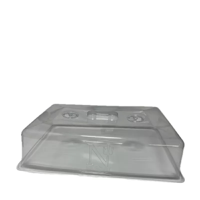 Neptuni - mbulesa e përhapësit