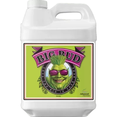 Big Bud - Stimulator of color weight and volume