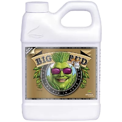 Big Bud Coco - color weight and volume stimulator in coconut