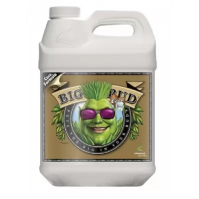 Big Bud Coco - color weight and volume stimulator in coconut