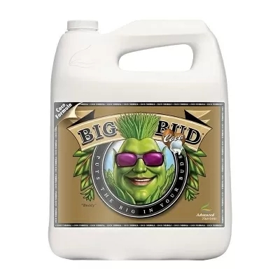 Big Bud Coco - color weight and volume stimulator in coconut