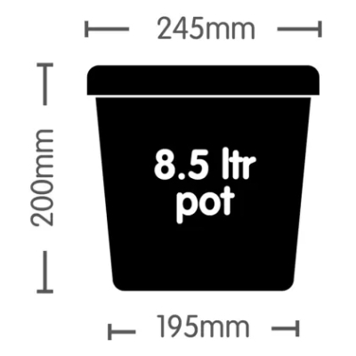 Vazo lulesh AUTOPOT 8.5L