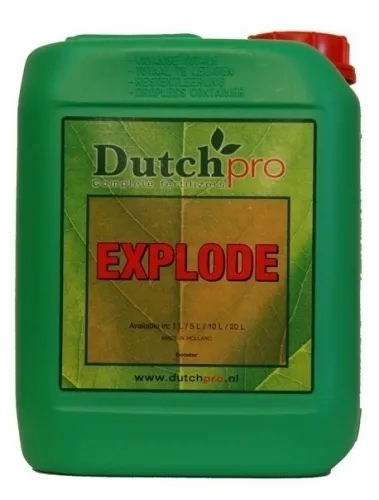DutchPro Explode - Stimulues i Lulëzimit