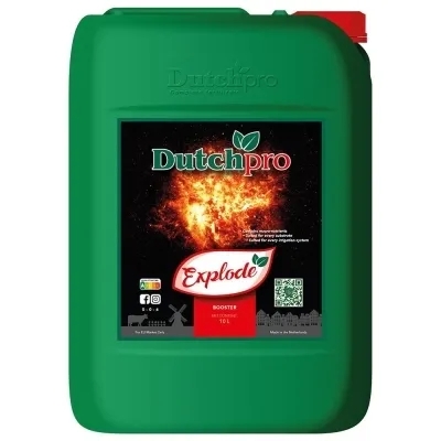 DutchPro Explode - Stimulues i Lulëzimit