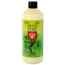 MULTIENZYM - enzyme supplement