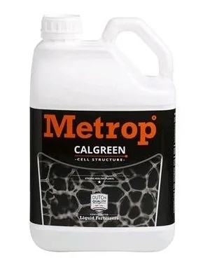 Metrop Calgreen - a stimulator of immunity against diseases
